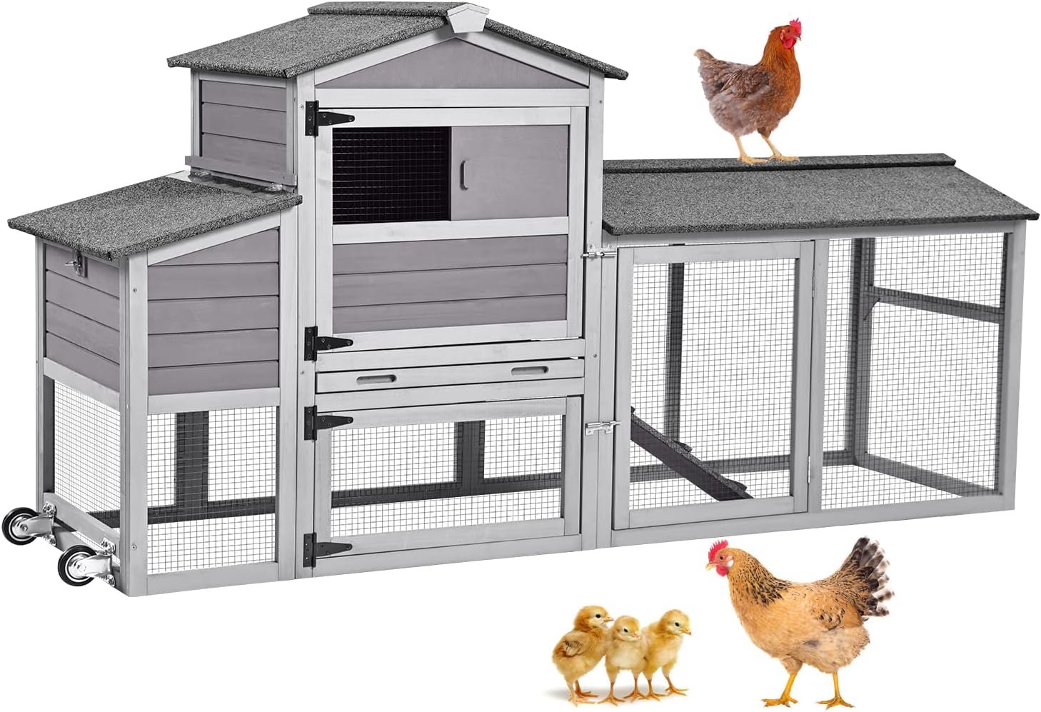 Wooden Chicken Coop