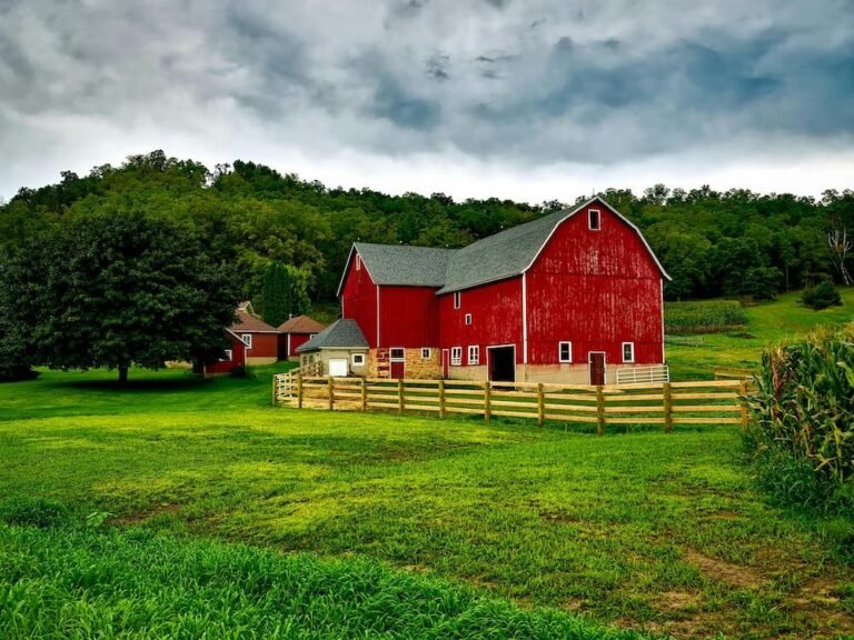 Sustainable Homesteading Secrets: Essential Strategies for Long-Term Success