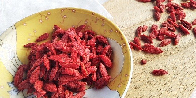 growing goji berries at home