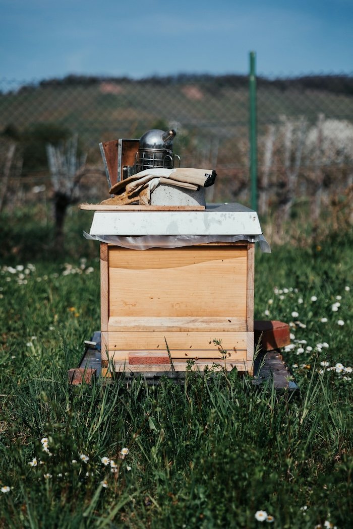 Your Essential Guide to Choosing the Perfect Beekeeping Starter Kit