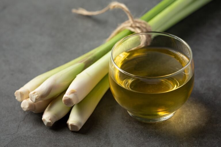 Your Guide to Successfully Growing Lemongrass at Home