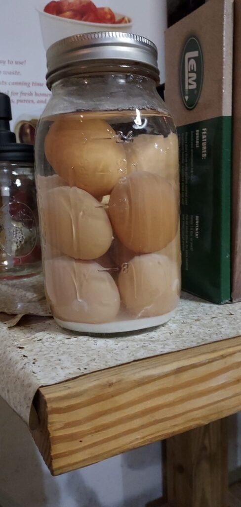 benefits of water glassing eggs at your homestead