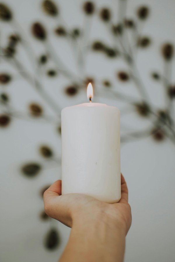 tallow candle guide