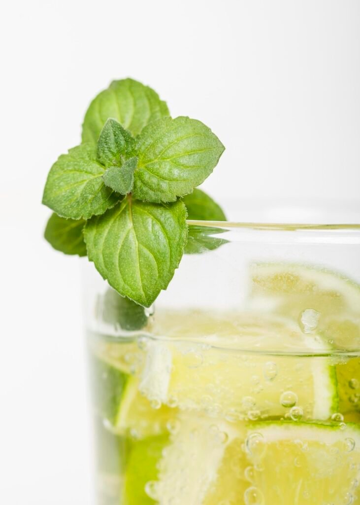the magic of mint extract - everyday homesteading