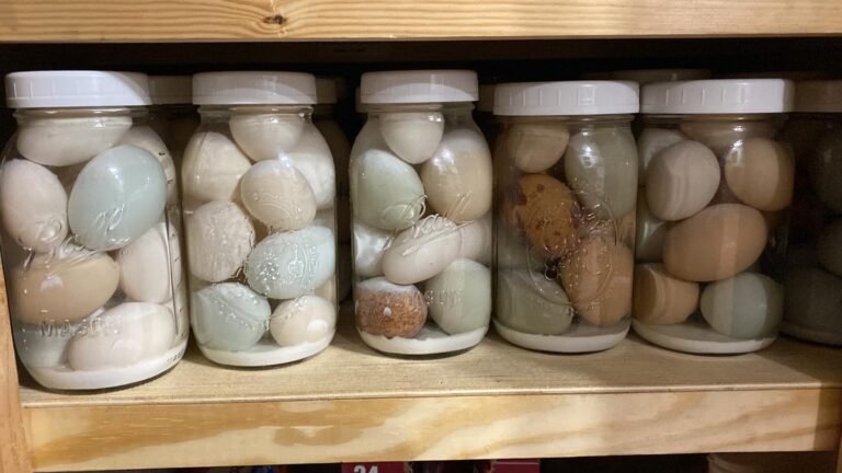 Mastering the Art of Water Glassing Eggs: A Comprehensive Guide