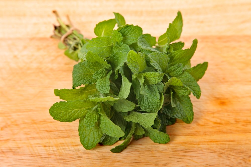 how to make mint extract at your homestead