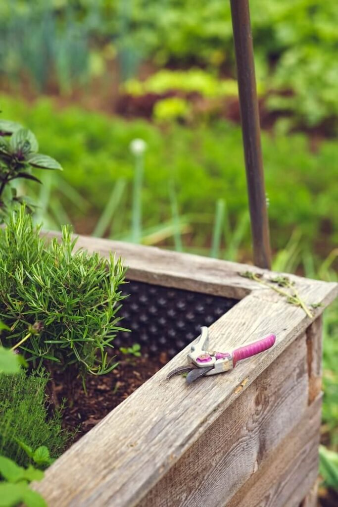 preparing your raised bed herb garden