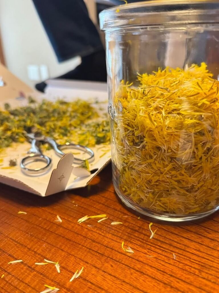 Crafting the Perfect Dandelion Wine Recipe: A Step-by-Step Guide
