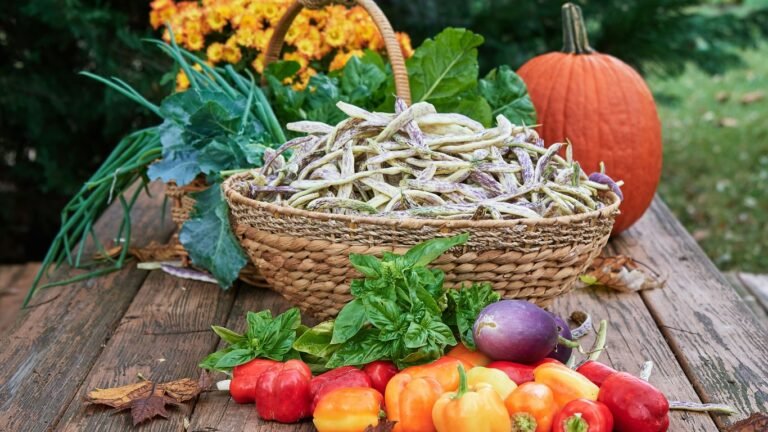 Zone 5 Late Fall Planting: Root Vegetables and Overwintering Crops