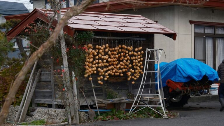10 Quick Homestead Projects You Can Do in One Afternoon