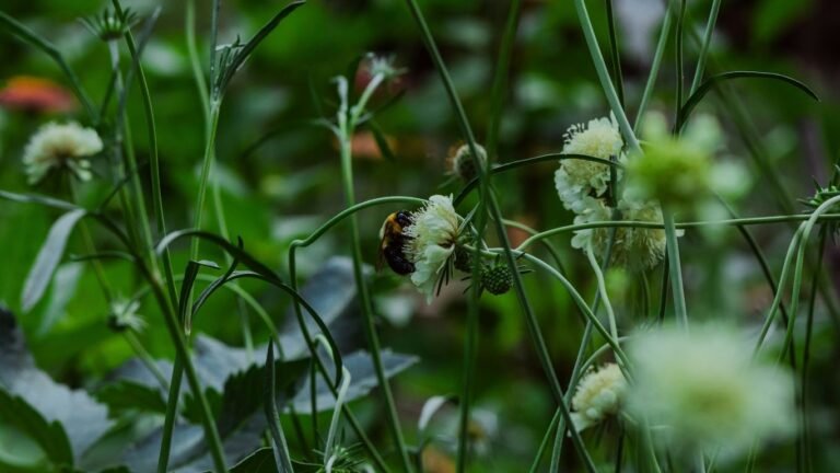 Best Companion Plants for Squash: Pollinator Boosters and Pest Control