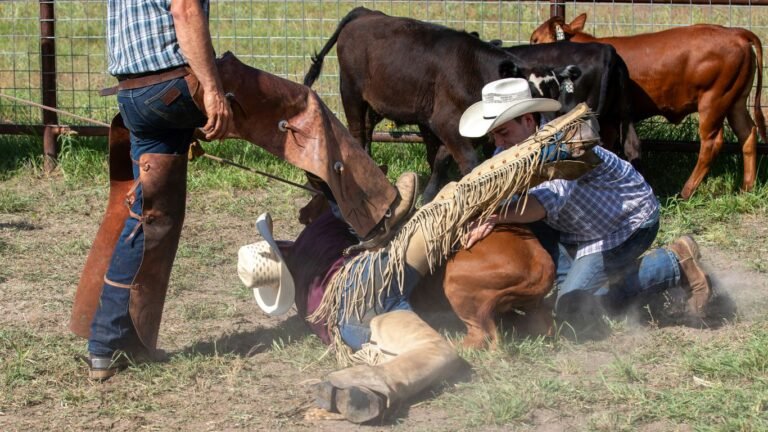 Fall Horse Care: Hoof Maintenance and Coat Transition Tips