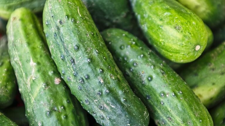 July Canning Calendar: Peak Summer Fruits and Vegetables