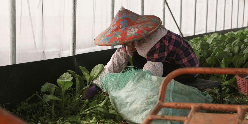 a woman kneeling down in a greenhouse with a hat on her head
