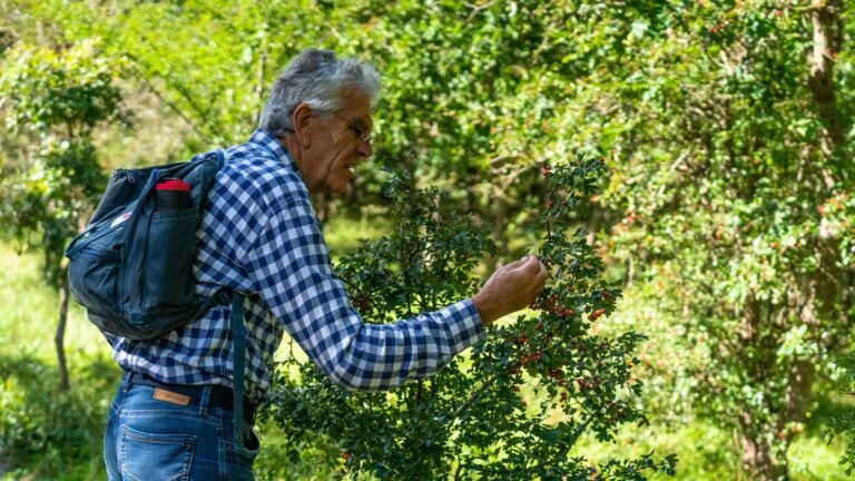 Foraging in New York: Wild Plants, Berries, and Medicinal Herbs