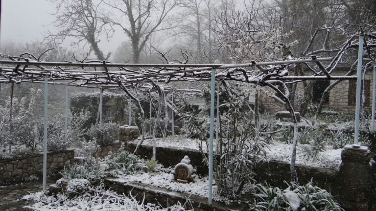 Zone 6 Winter Garden Prep: Mulching, Frost Protection, and Hoop Houses