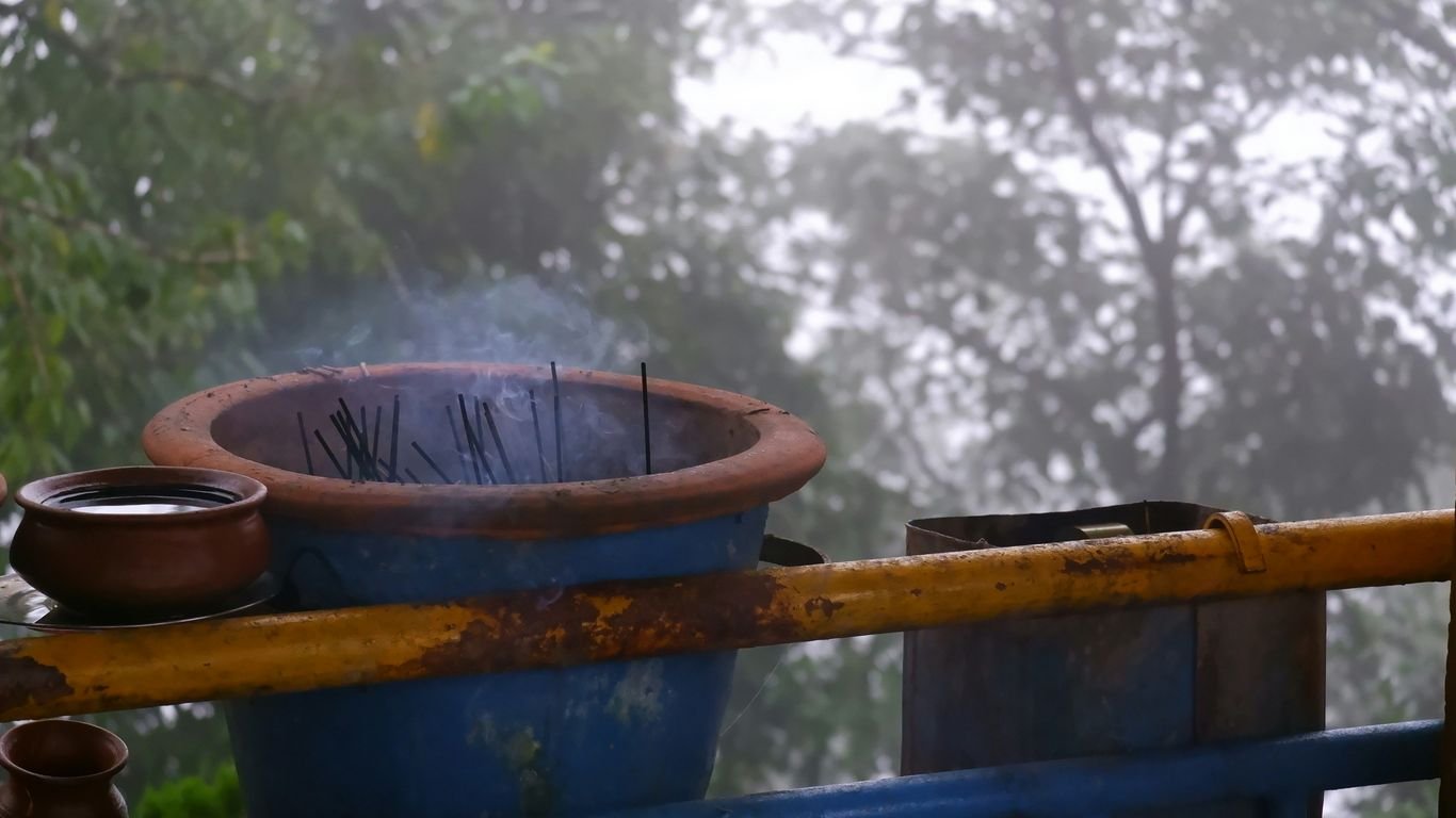 5 Clever Ways to Use Collected Rainwater on Your Homestead