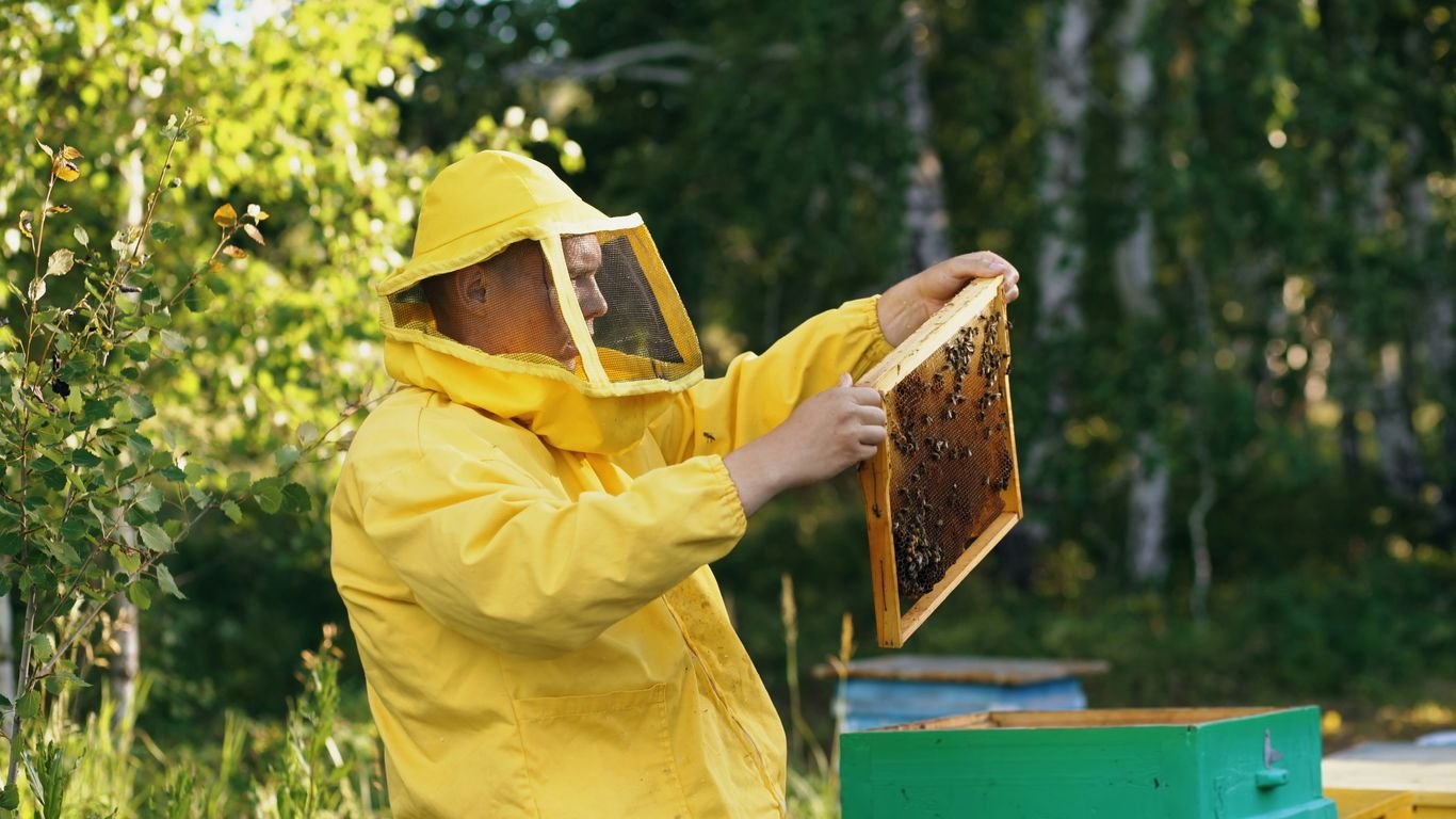 Spring Beekeeping Checklist: Hive Inspections and Early Feeding Tips