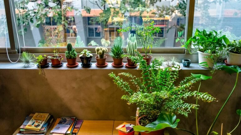 Zone 5 January Gardening Checklist: Seed Orders and Indoor Planting