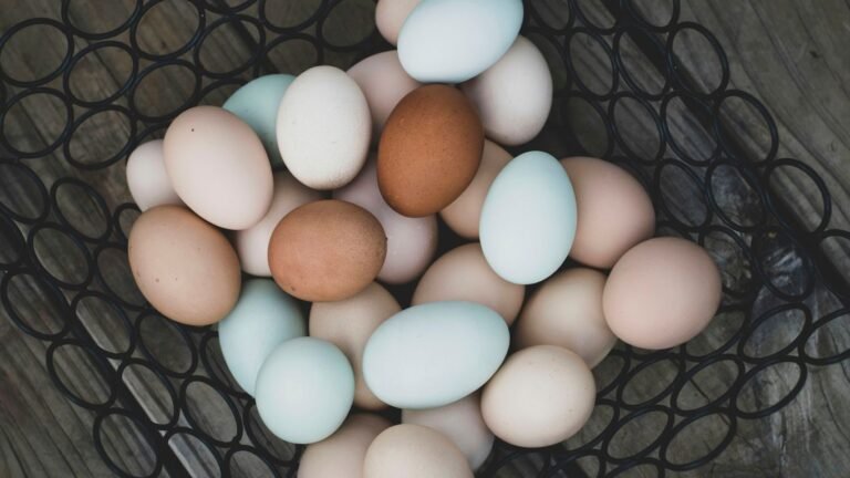 15 Profitable Homestead Side Hustles You Can Start This Year
