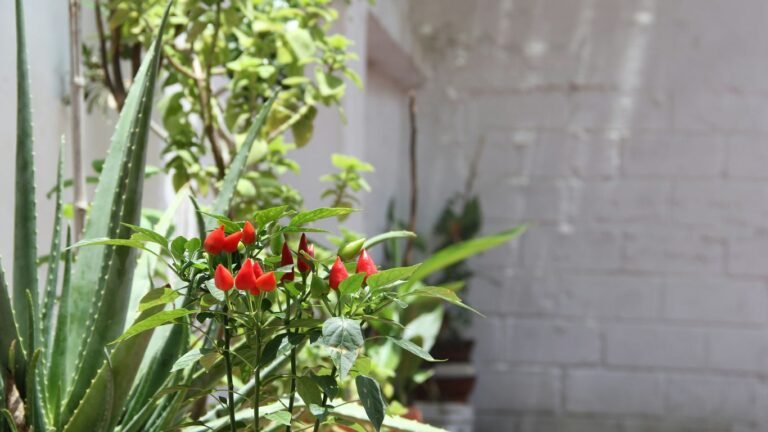 Best and Worst Companion Plants for Tomatoes: Maximize Your Harvest