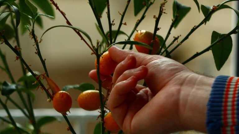 Is Growing Your Own Tomatoes Worth It? Cost, Yield, and Savings Analysis