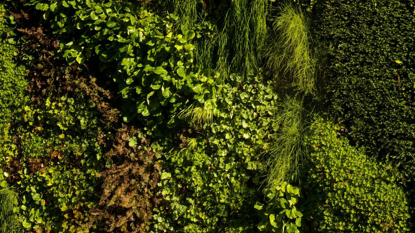 How to Build a Vertical Micro-Homestead Garden