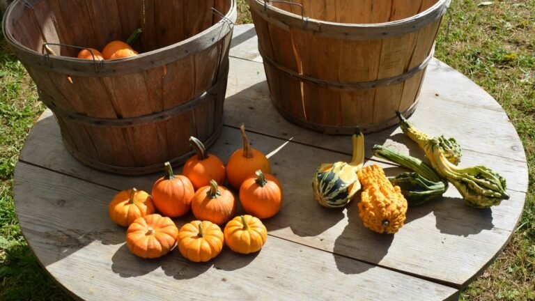 10 High-Yield Crops Every Homesteader Should Grow