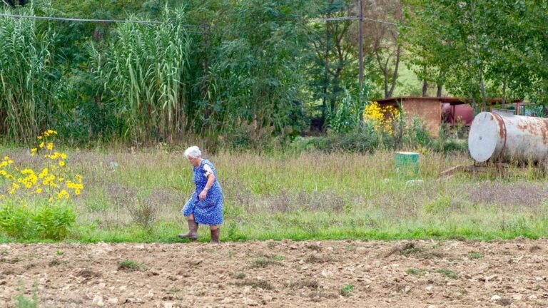 Crops That Make Money: What to Grow for Profit