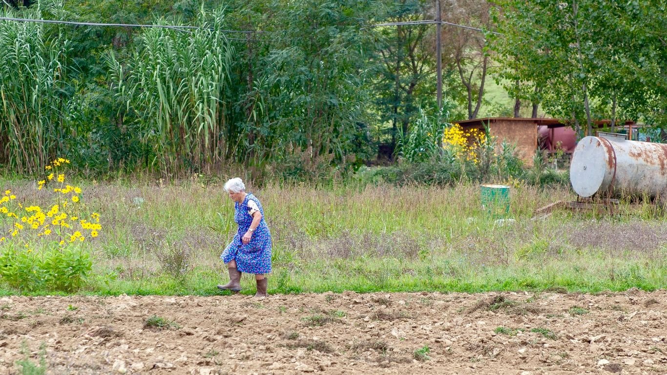 Crops That Make Money: What to Grow for Profit