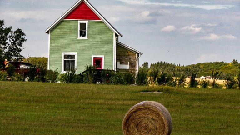Passive Income Ideas for Homesteaders