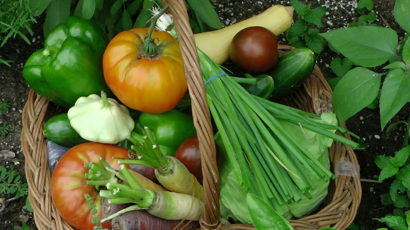 What to Do With a Big Harvest: 20 Genius Uses for Extra Produce