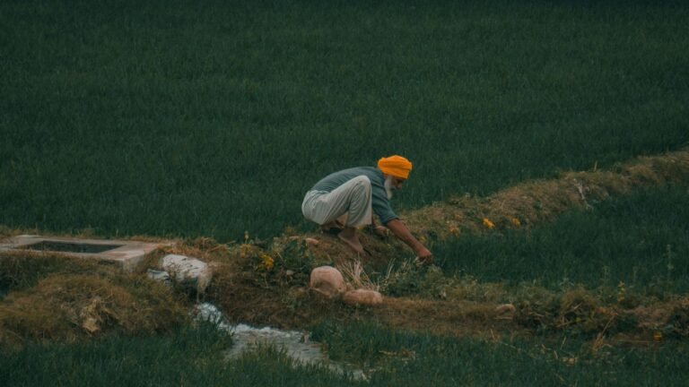 How to Homestead With a Full-Time Job: The Ultimate Beginnerâs Guide