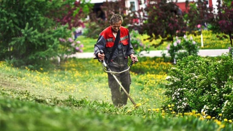 The Ultimate Guide to Natural Pest Control in the Garden