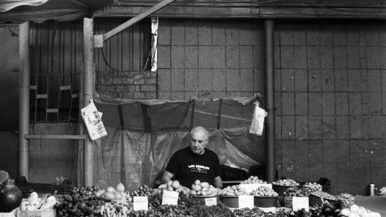 Beginnerâs Guide to Selling Produce Locally