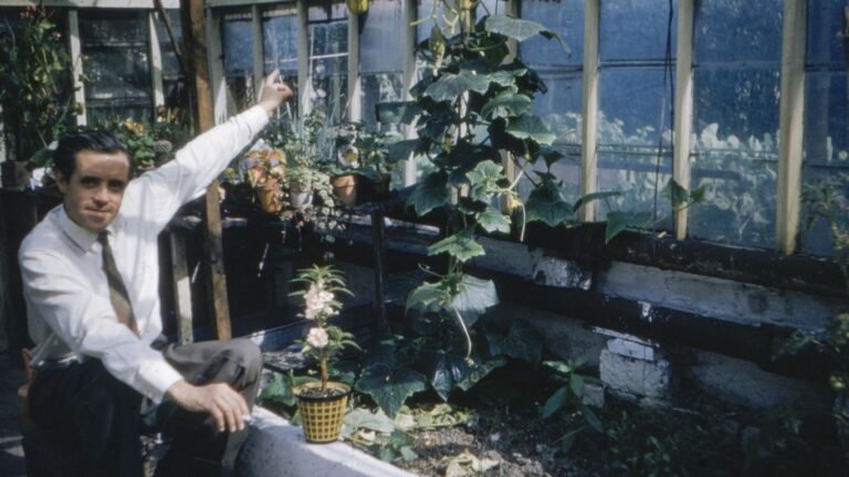 Winter Gardening: What You Can Still Grow