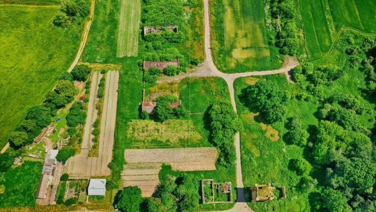 Best Layouts for a Self-Sufficient Homestead