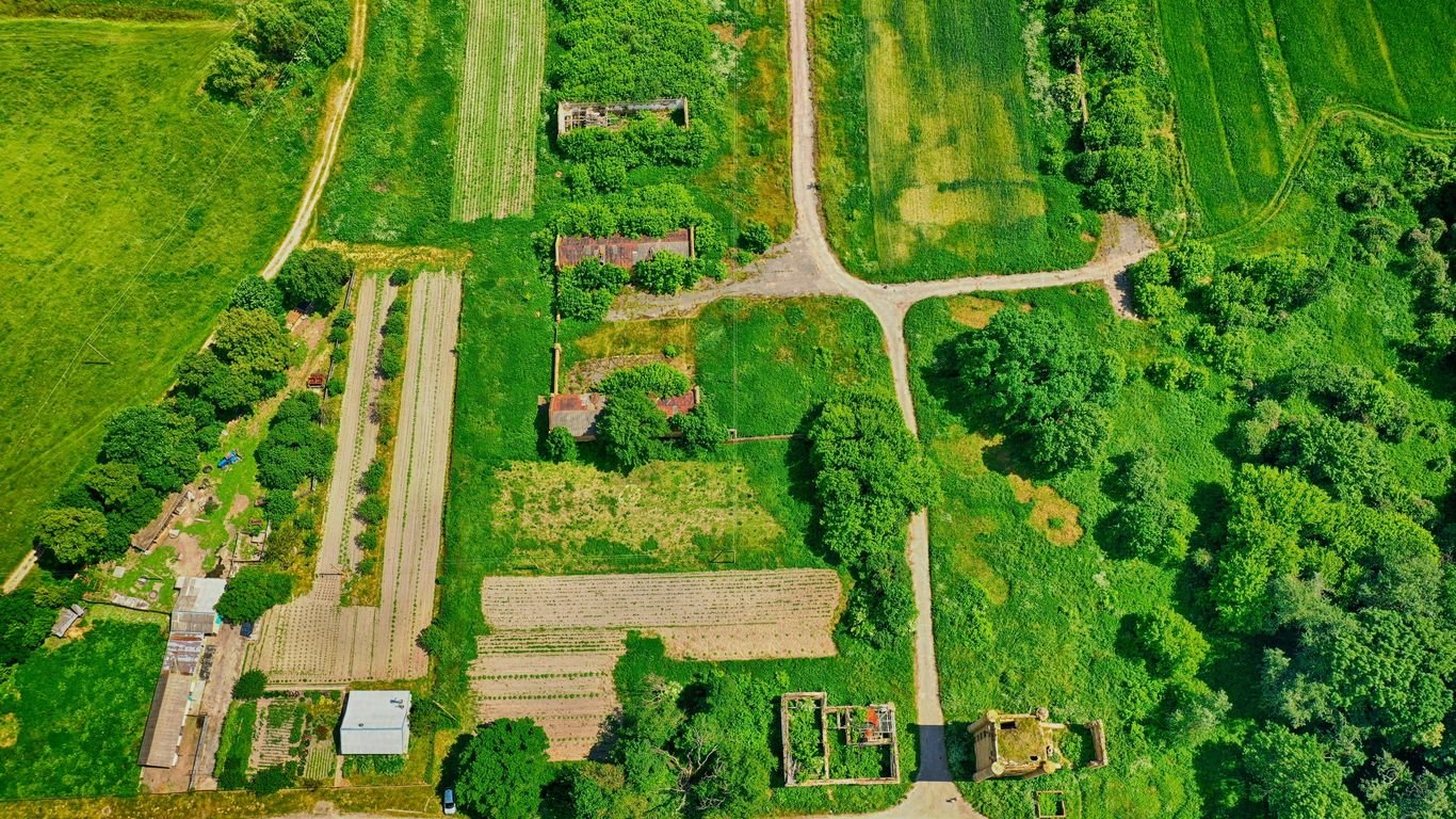 Best Layouts for a Self-Sufficient Homestead