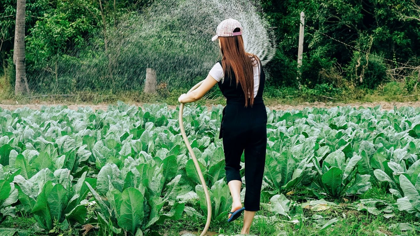 10 Gardening Habits That Save You Hours Every Week