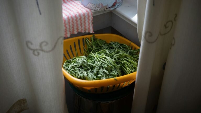 How to Preserve Herbs for a Full Year