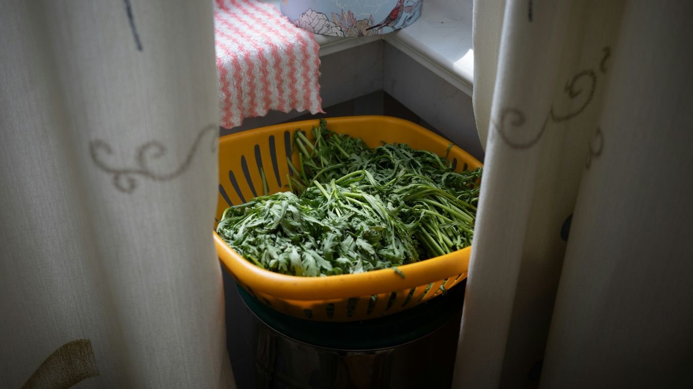 How to Preserve Herbs for a Full Year