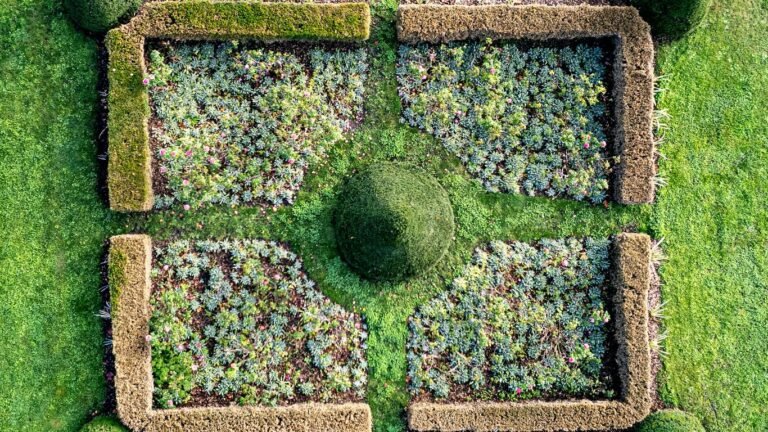 How to Plan a Self-Sufficient Backyard Layout