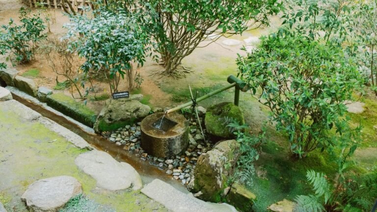 How to Map Your Homestead for Animals, Garden, and Water