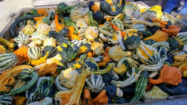 The Best Vegetables to Freeze Dry at Home