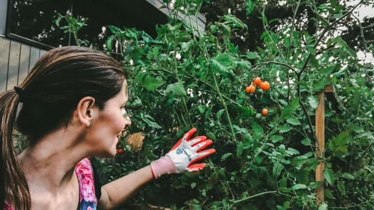 How to Make Money Homesteading: 20 Real Income Ideas