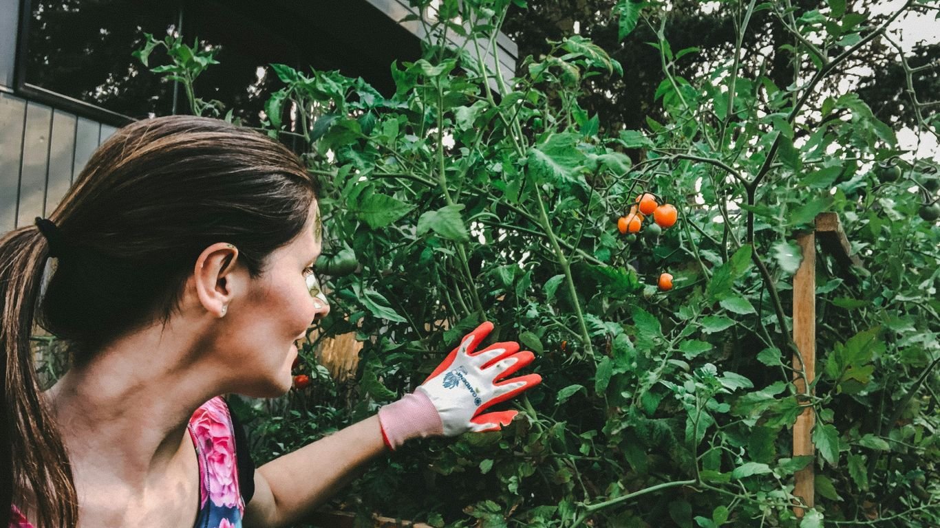 How to Make Money Homesteading: 20 Real Income Ideas