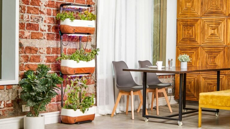 How to Grow a Year-Round Salad Garden Indoors