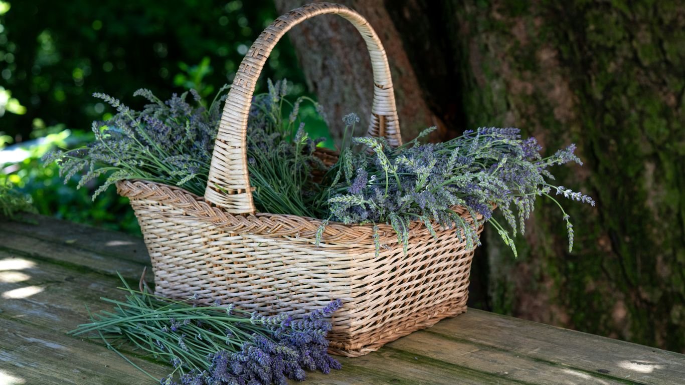 DIY Herbal Homestead Gift Basket: What to Include