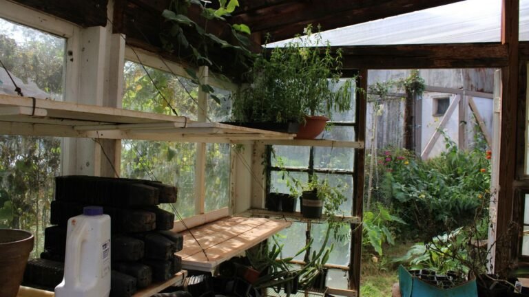 How to Build an Indoor Microgreen Station