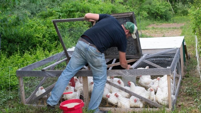 10 Low-Cost Homestead Side Hustles That Make Money